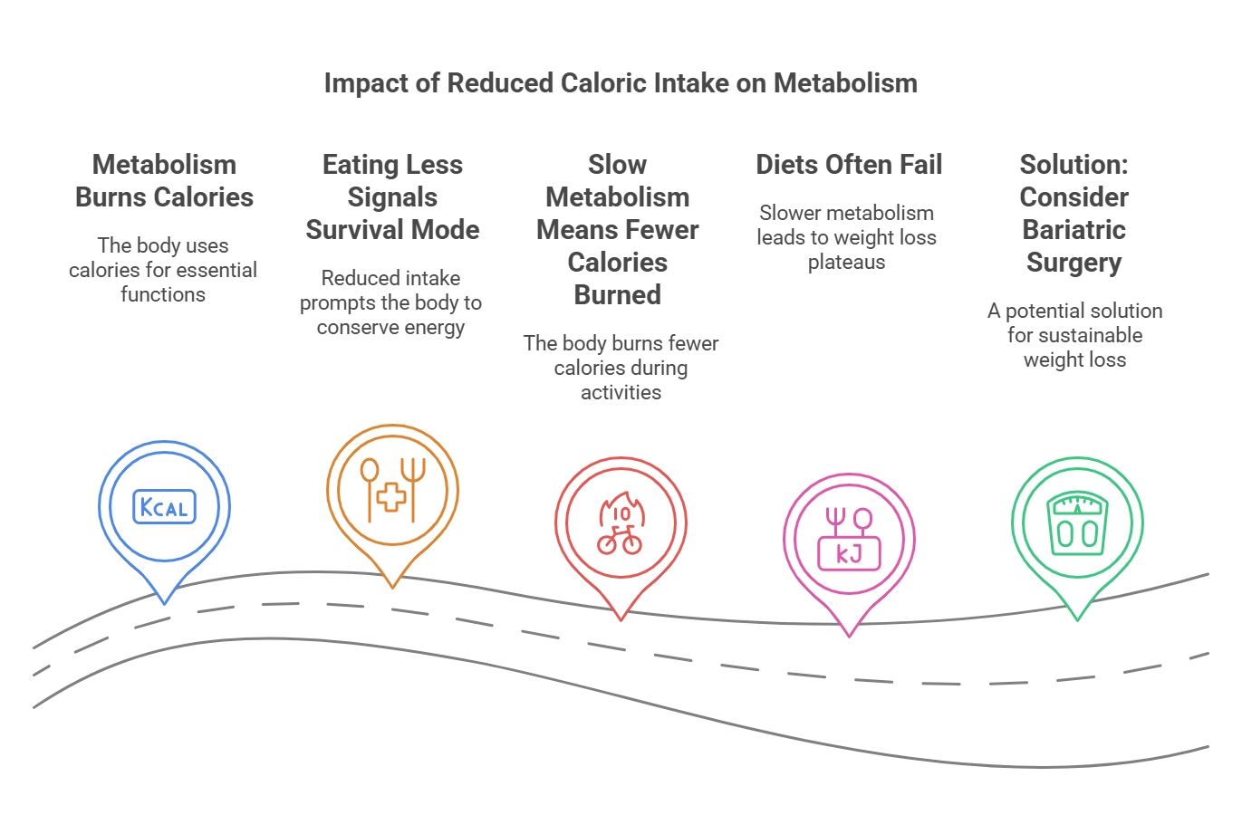 Impact of reduced caloric intake on metabolism infographic